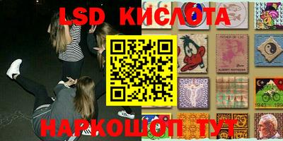 крисы Аргун