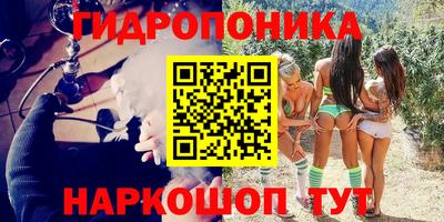 крисы Аргун
