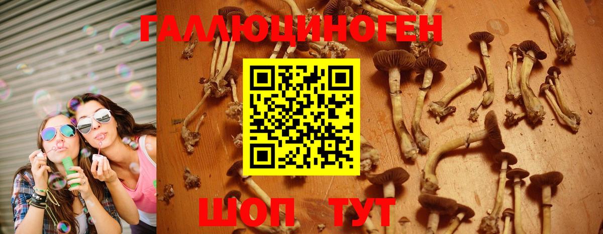 Белореченск  Галлюциногенные грибы MAGIC MUSHROOMS  Вход с VPN 